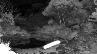Still 2 from this detection