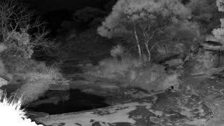 Still 1 from this detection