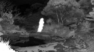 Still 2 from this detection