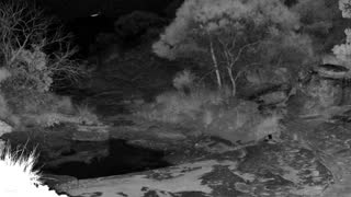 Still 3 from this detection