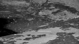 Still 2 from this detection