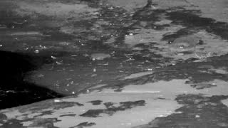Still 2 from this detection