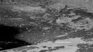 Still 1 from this detection