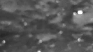 Still 3 from this detection