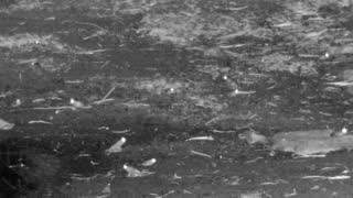 Still 2 from this detection