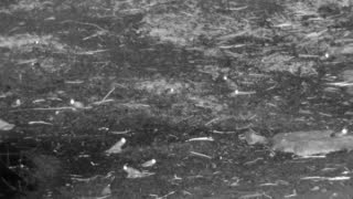 Still 3 from this detection
