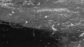 Still 3 from this detection