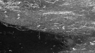 Still 2 from this detection