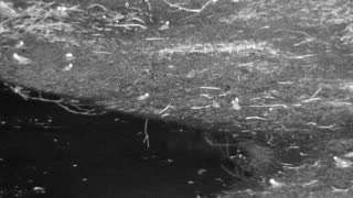 Still 1 from this detection