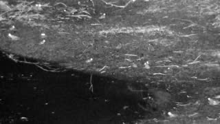 Still 3 from this detection