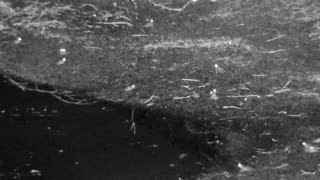 Still 2 from this detection