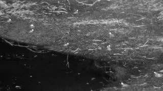 Still 3 from this detection