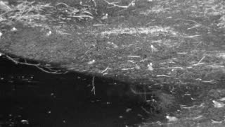 Still 1 from this detection