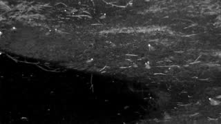 Still 2 from this detection