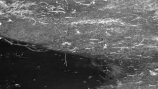 Still 2 from this detection