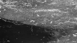 Still 3 from this detection