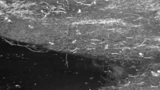 Still 1 from this detection