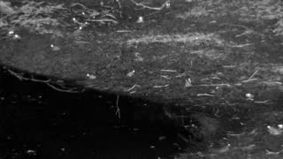 Still 2 from this detection