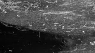 Still 3 from this detection