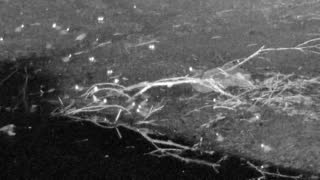 Still 3 from this detection