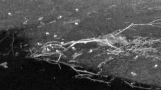 Still 3 from this detection