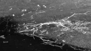 Still 2 from this detection