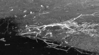 Still 2 from this detection