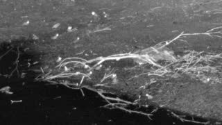 Still 3 from this detection
