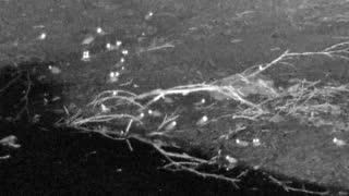 Still 2 from this detection