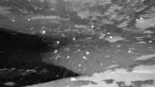Still 1 from this detection
