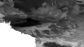 Still 3 from this detection