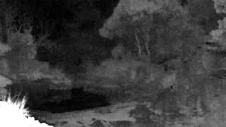 Still 1 from this detection