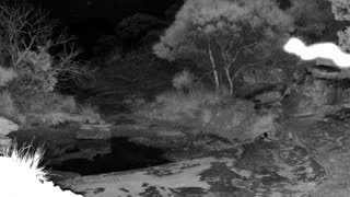 Still 1 from this detection