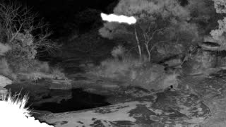 Still 1 from this detection