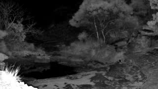 Still 1 from this detection