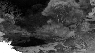 Still 1 from this detection