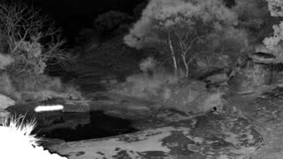 Still 2 from this detection