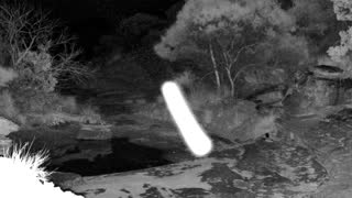 Still 2 from this detection