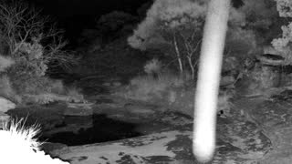 Still 1 from this detection