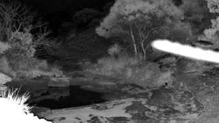 Still 1 from this detection