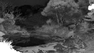 Still 1 from this detection
