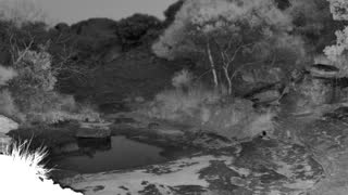Still 1 from this detection