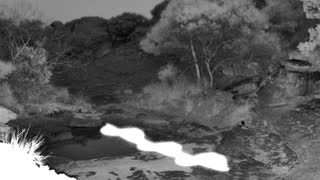 Still 2 from this detection