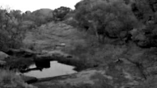 Still 1 from this detection
