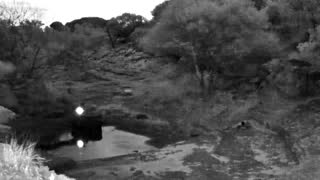 Still 2 from this detection
