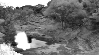 Still 1 from this detection