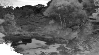 Still 2 from this detection