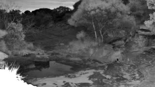 Still 1 from this detection