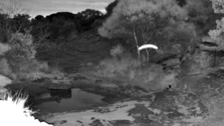 Still 3 from this detection