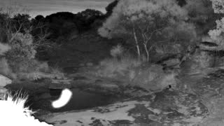 Still 1 from this detection